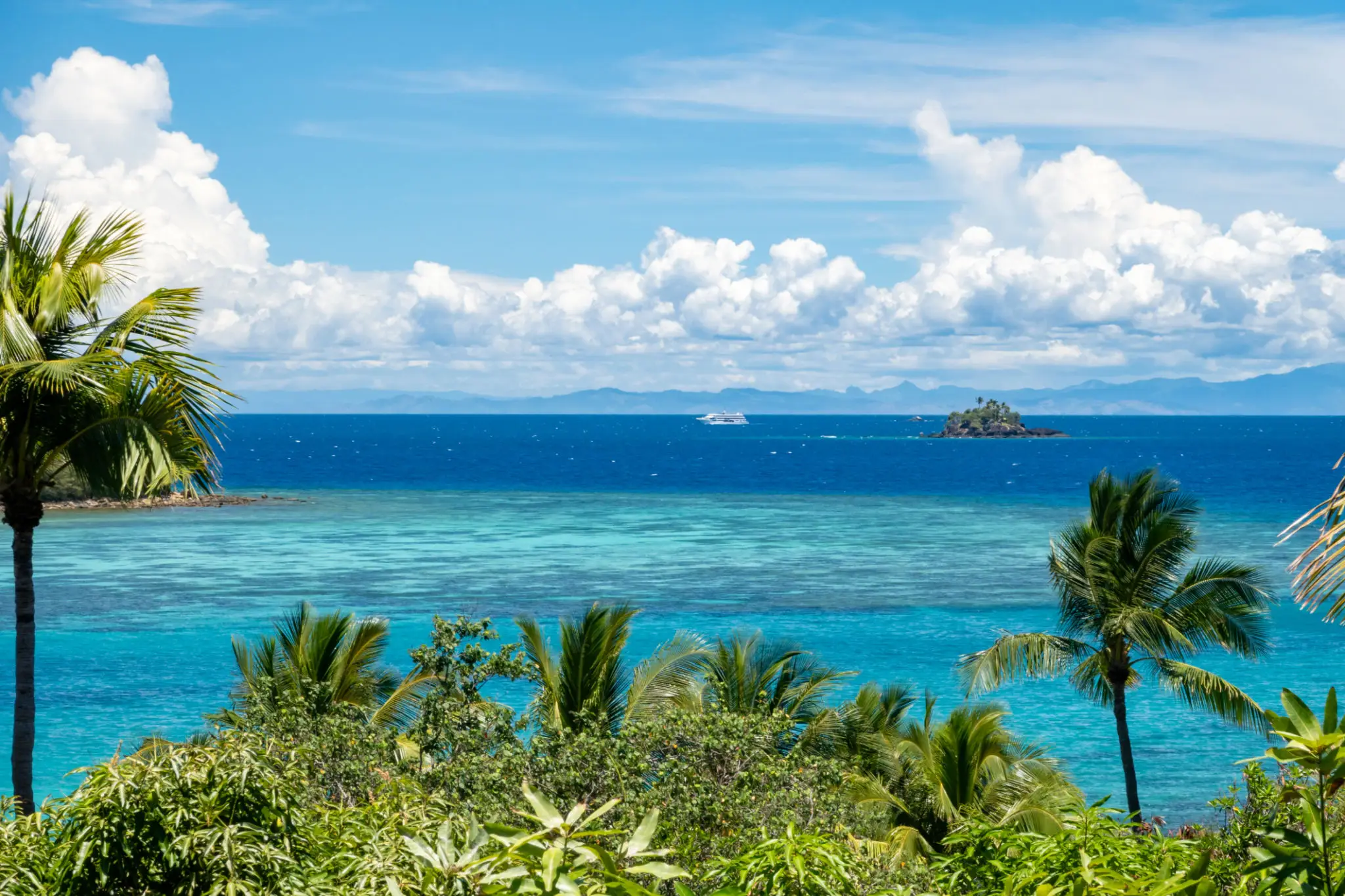 Tropical beach with palm trees and ocean.